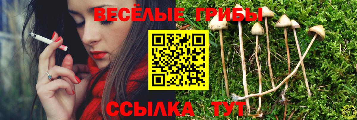 Псилоцибиновые грибы MAGIC MUSHROOMS  Вход с VPN  Стрежевой  Псилоцибиновые грибы прущие грибы 
